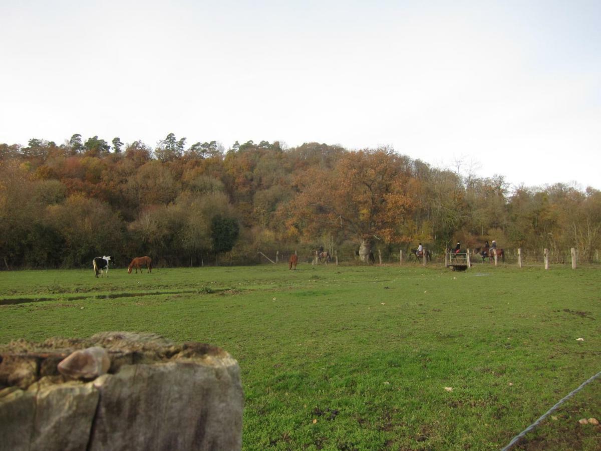 Le Murmure De La Falaise Beaumont-le-Roger Exterior photo